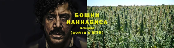 ПСИЛОЦИБИНОВЫЕ ГРИБЫ Аркадак