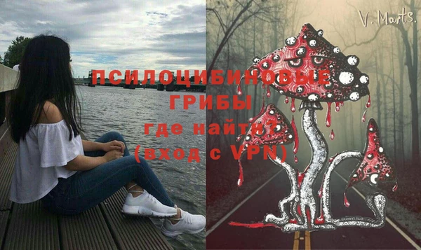альфа пвп Армянск