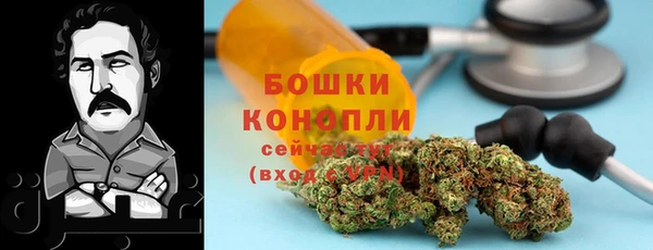 ПСИЛОЦИБИНОВЫЕ ГРИБЫ Аркадак