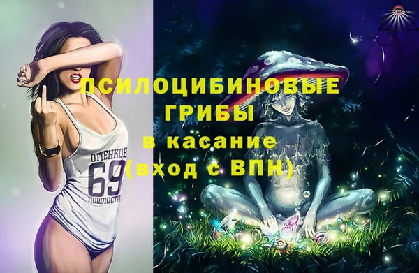 ПСИЛОЦИБИНОВЫЕ ГРИБЫ Аркадак
